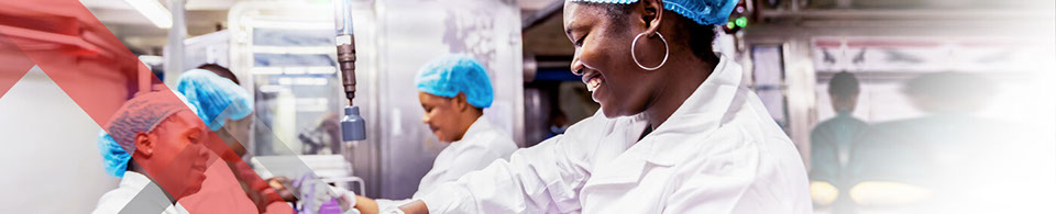 Creating a skilled and capable workforce for priority trades and occupations